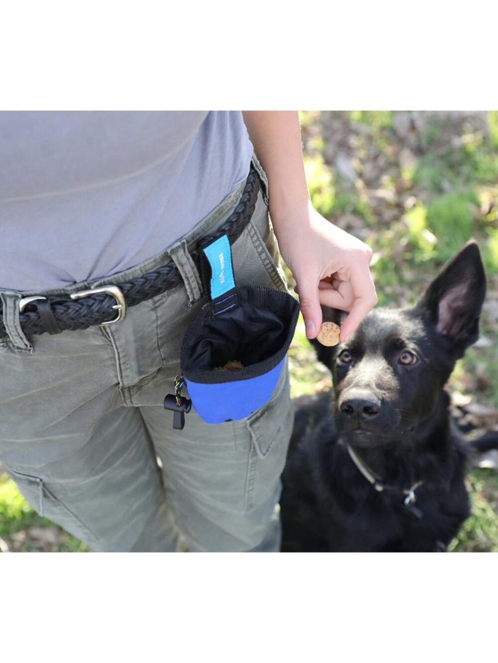 Treat Tote Dog Treat Pouch for Puppy Training, 1 Cup Capacity, Assorted Colors - Picture 2 of 7